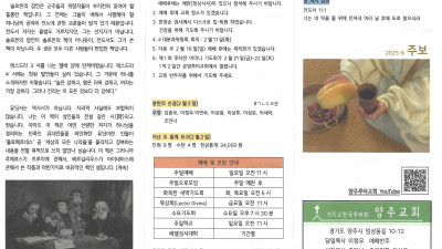 2025년 2월 9일 주보