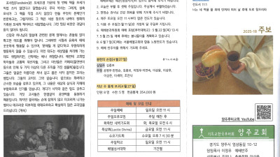 2025년 5월 4일 주보