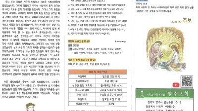 2026년 5월 17일 주보