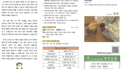 2025년 8월 17일 주보