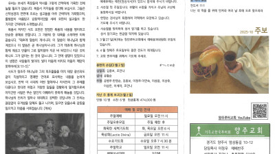 2025년 3월 9일 주보