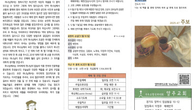 2025년 11월 23일 주보