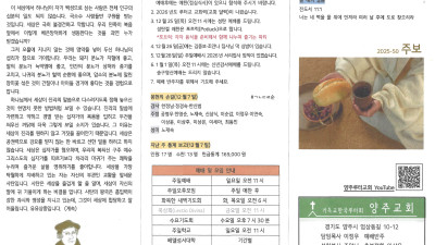 2025년 12월 14일 주보